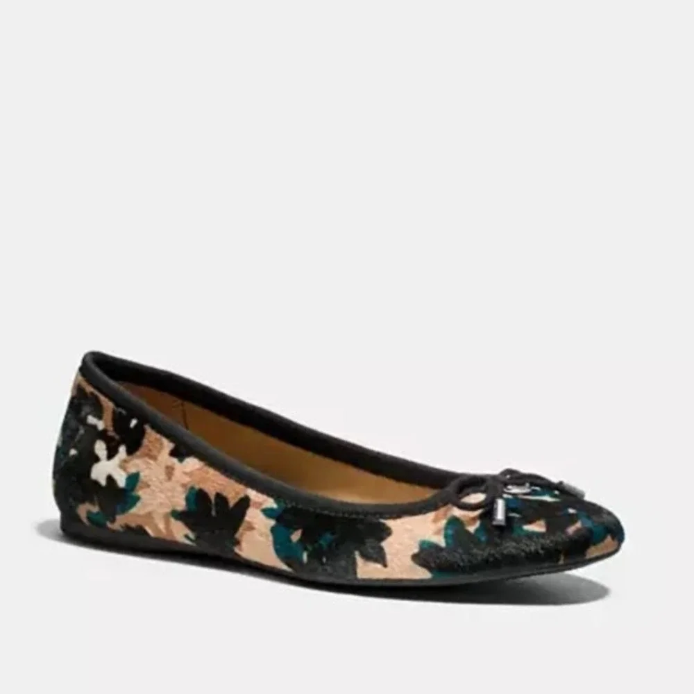 Coach brand model