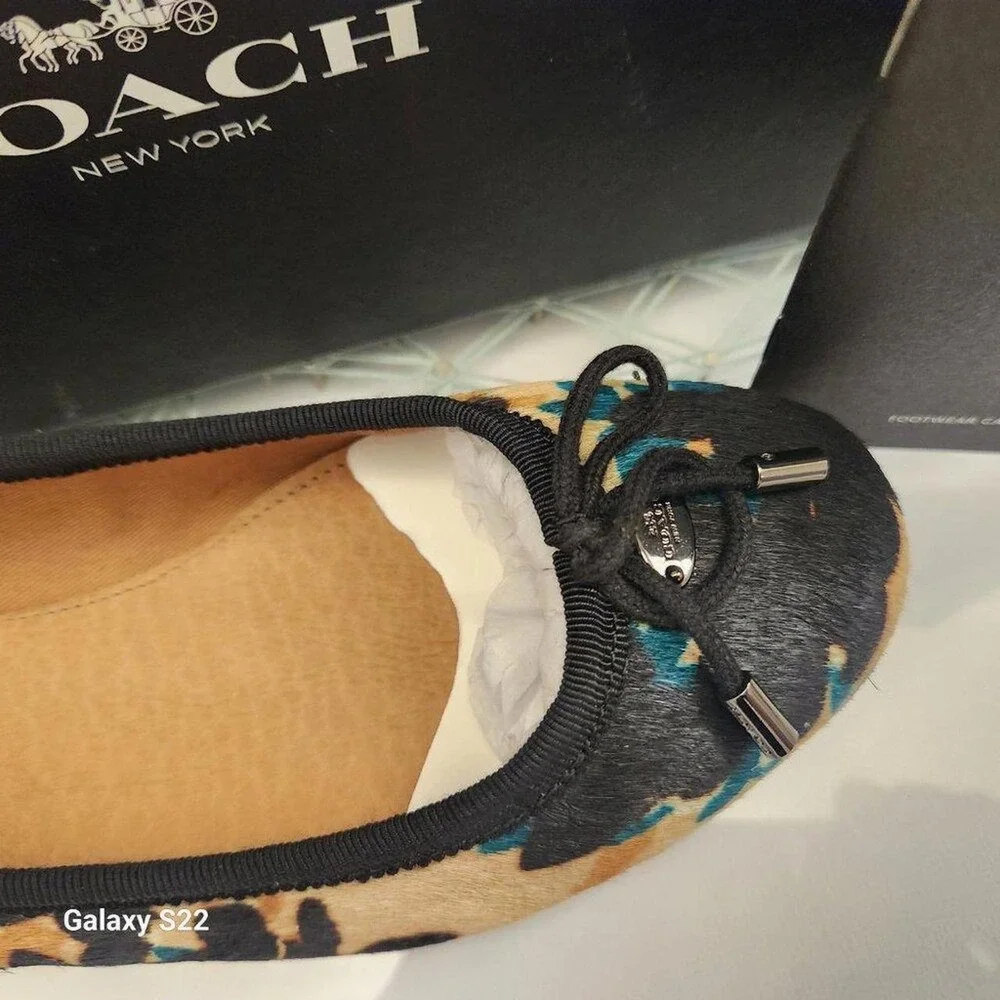 Coach brand model