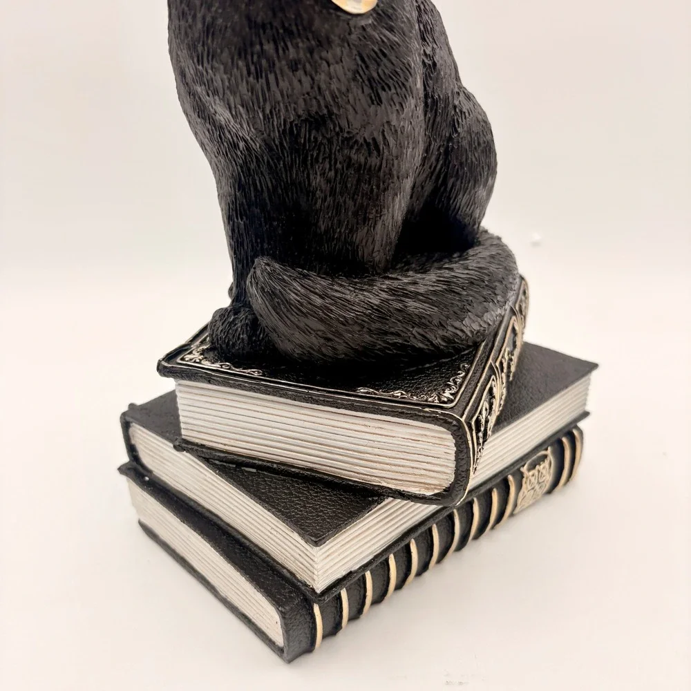 Unbranded black cat