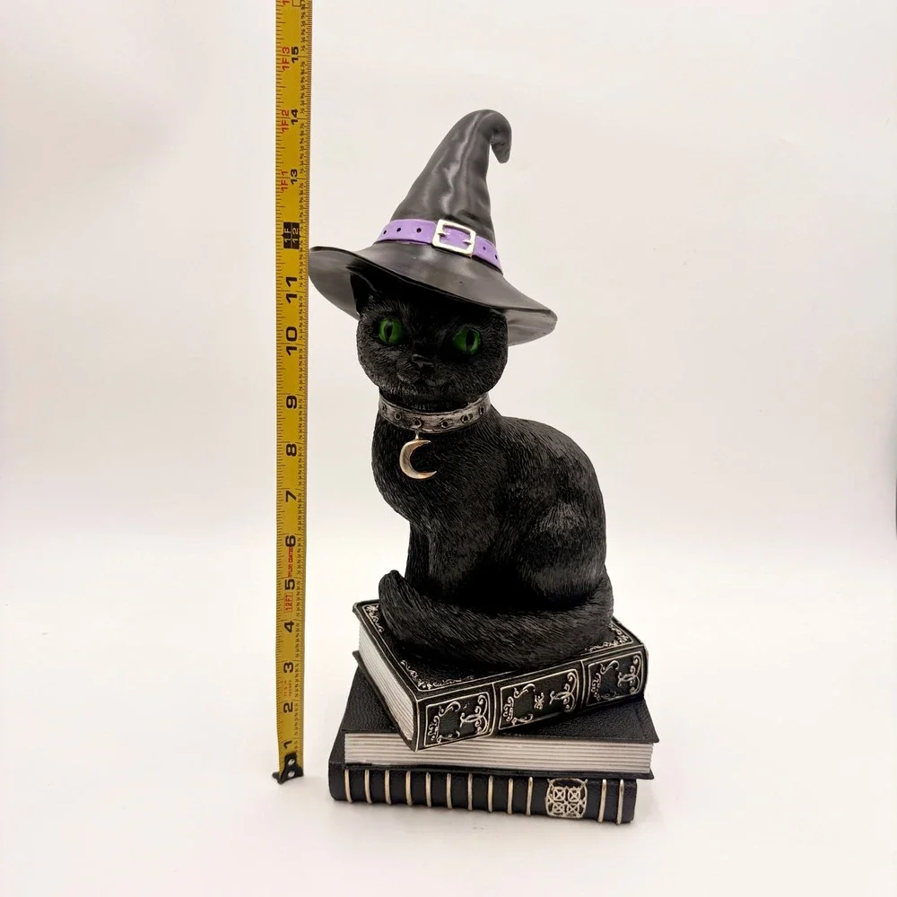 Unbranded black cat