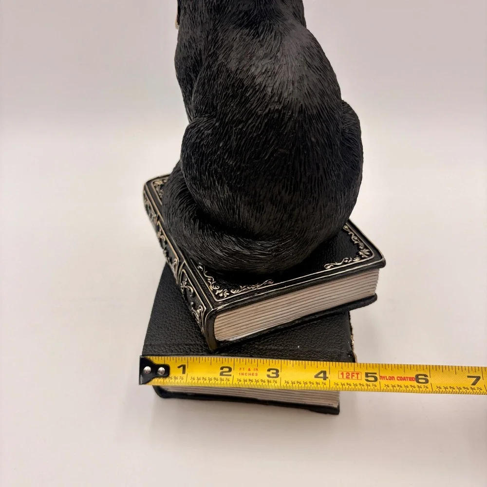Unbranded black cat