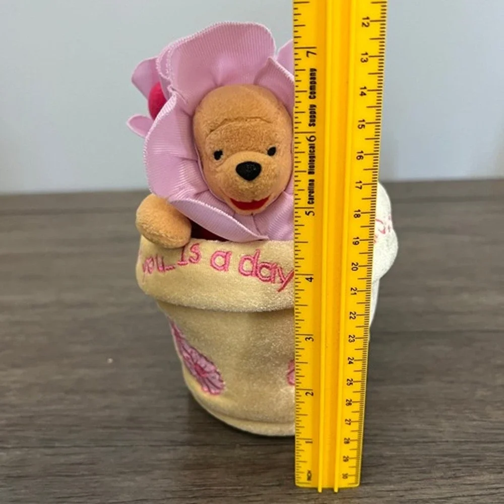 Disney winnie pooh
