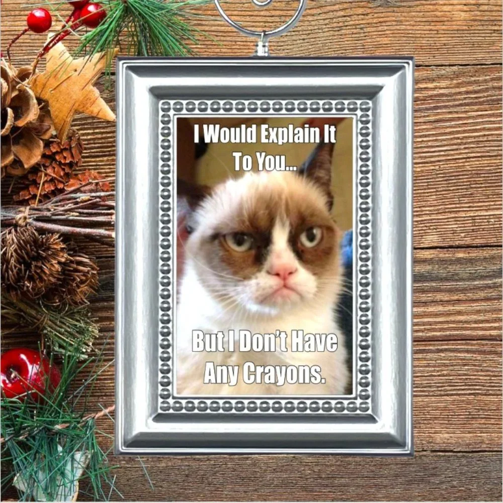 Cat Kitty‎ Kitten Funny Christmas Tree Ornament