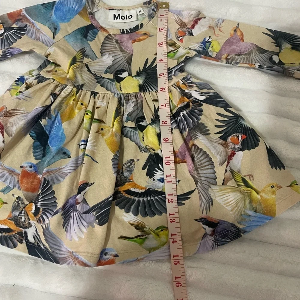 Molo bright jungle