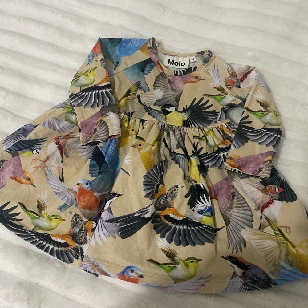 Molo bright jungle