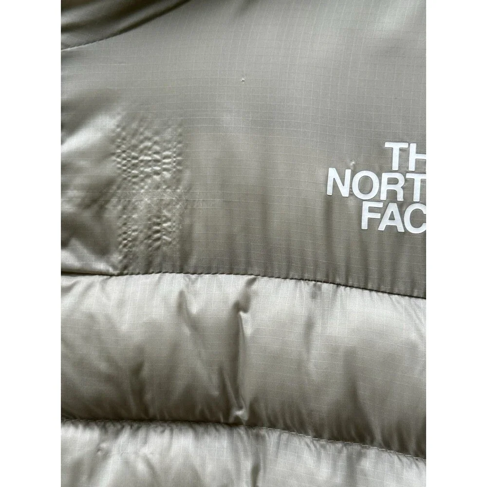 The North Face north face