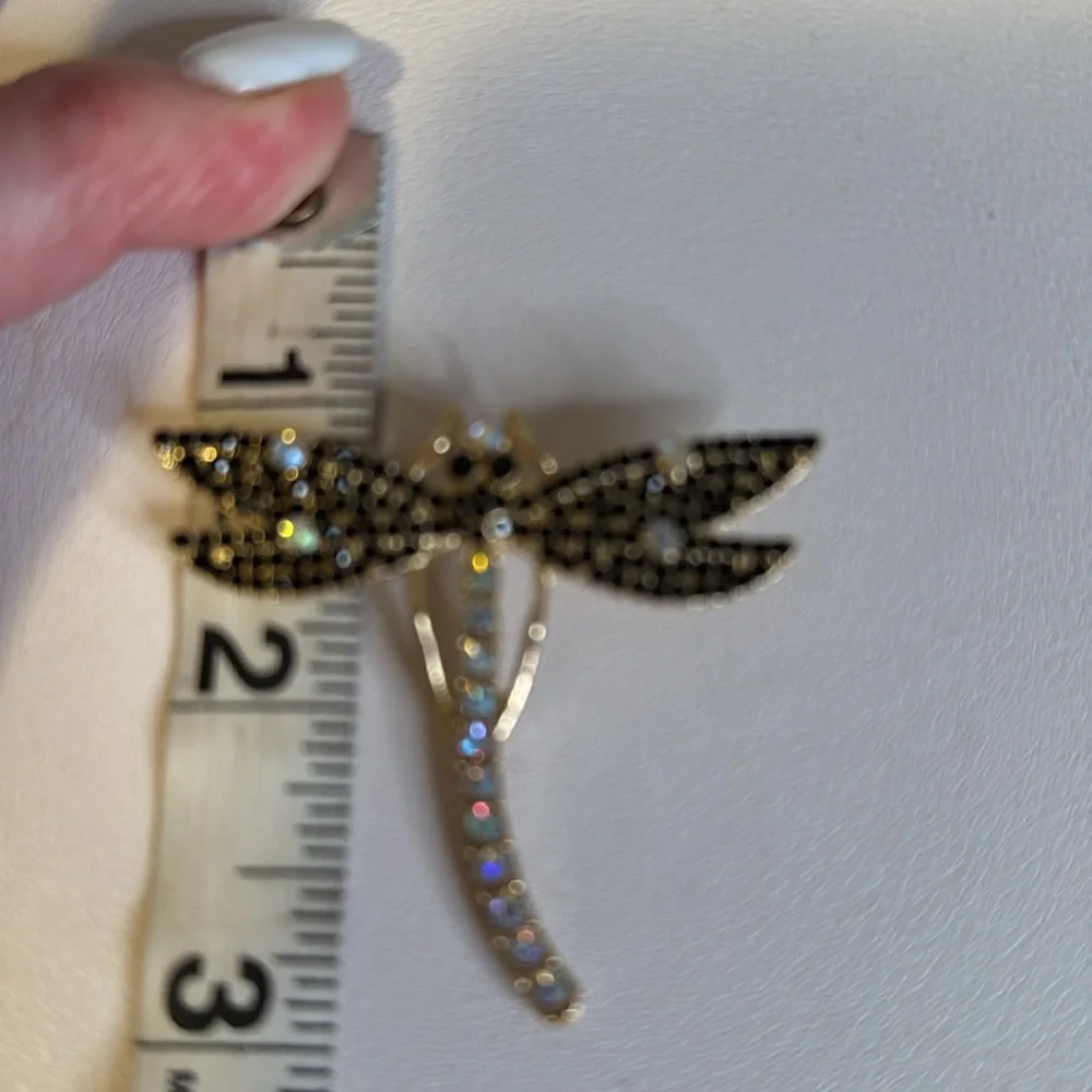 N/A elegant dragonfly