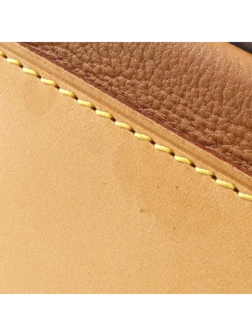 Louis Vuitton brand louis