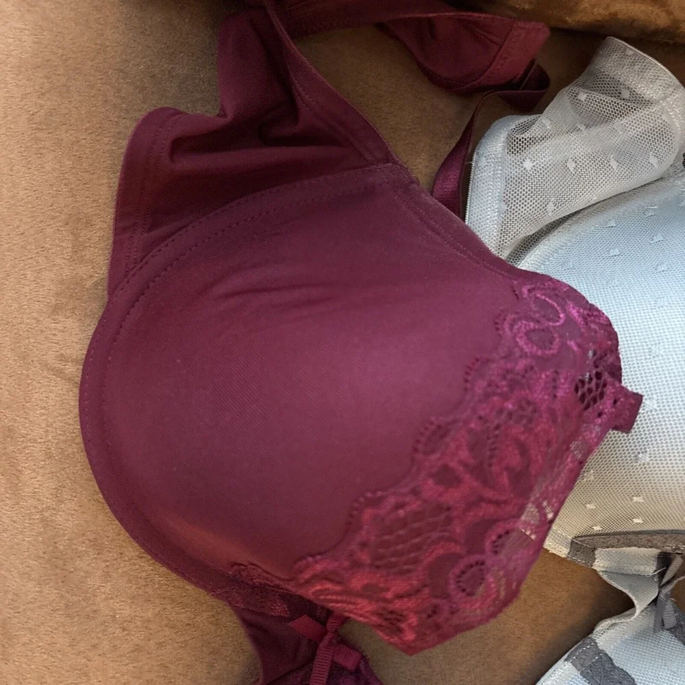 smart & sexy purchasing nwt
