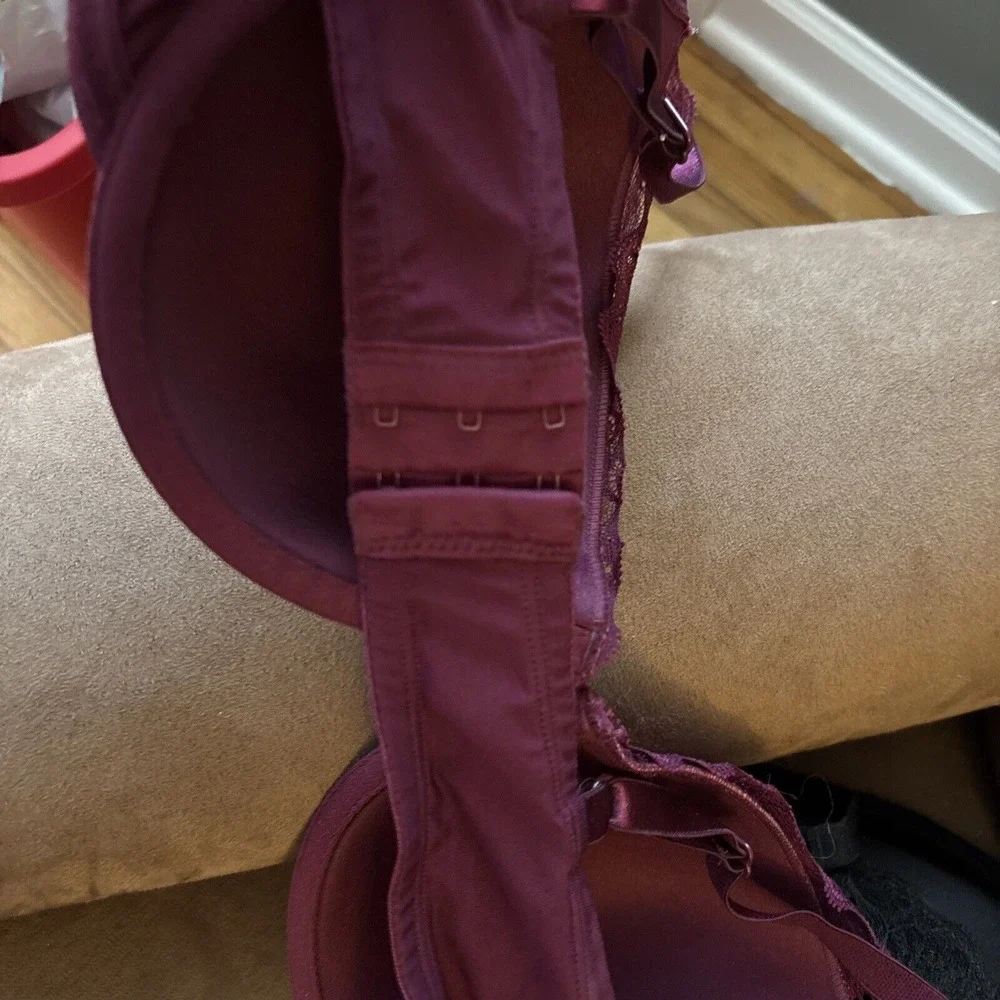 smart & sexy purchasing nwt