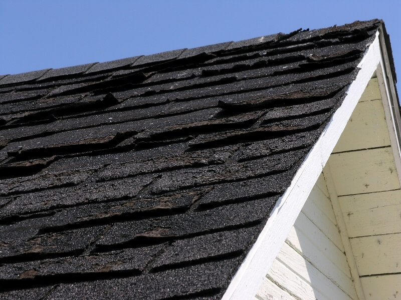 Asphalt Shingle Restoration